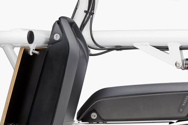 Riese & Muller Load dual battery
