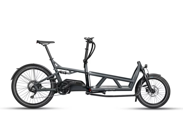 , Riese &#038; Muller Load4 60 Touring