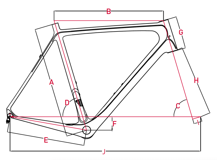 focus bike sizing