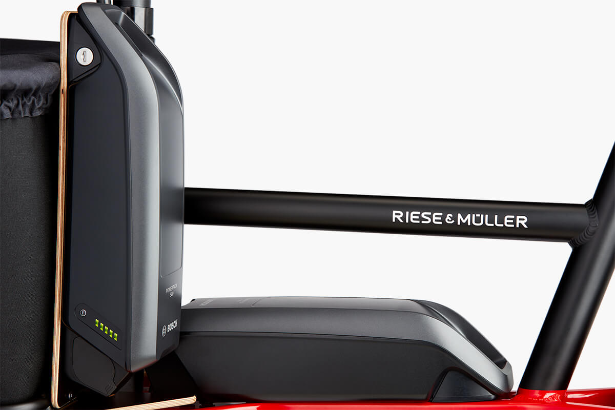 Riese & Mueller Packster 40 Dual Battery