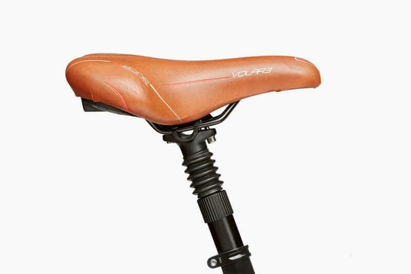 Riese & Muller Cruiser Suspension Fork and Suspension Seatpost