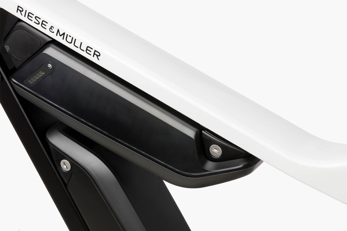 Riese & Mueller Delite Mountain Dual Battery