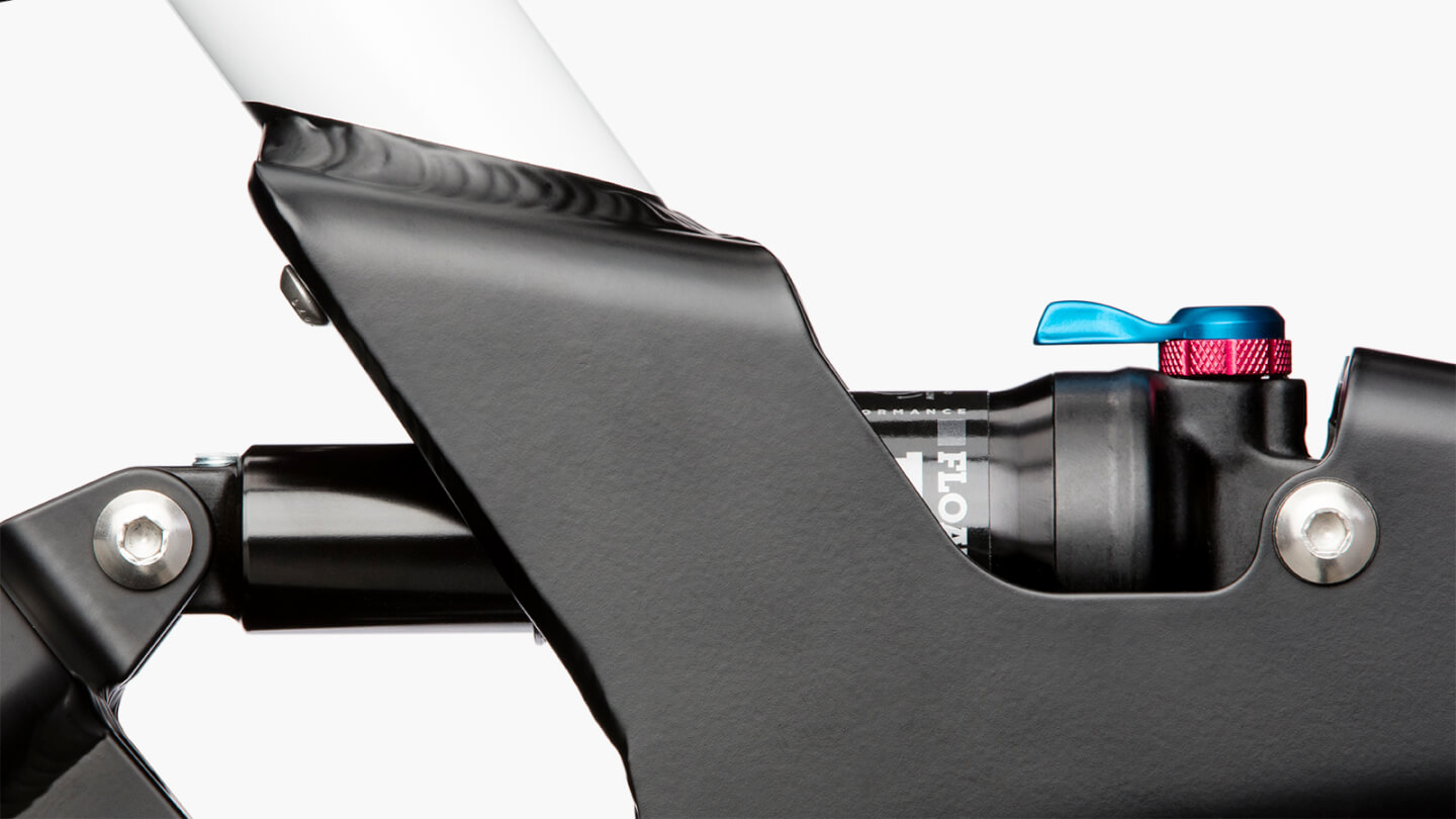 Riese & Mueller Delite Mountain Full Suspension