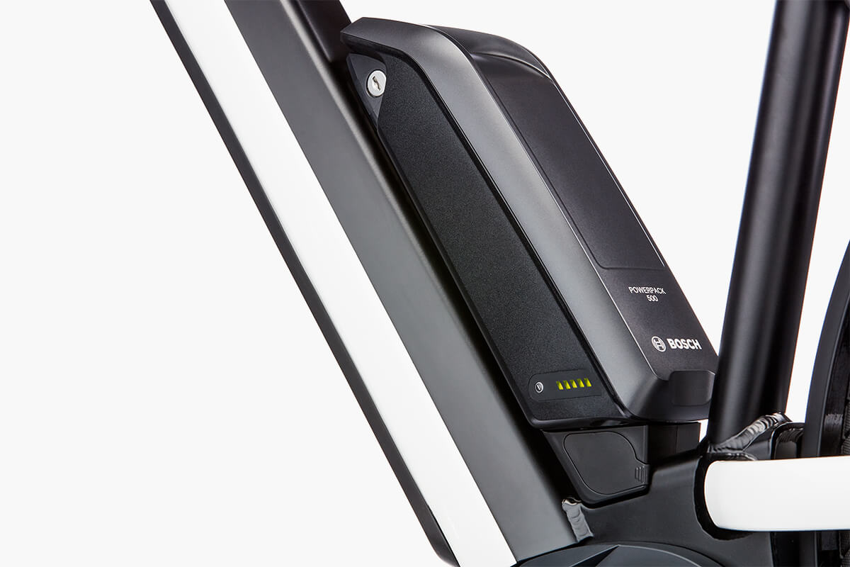 Riese & Mueller New Charger Dual Battery